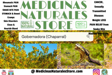 Load image into Gallery viewer, Chaparral (Gobernadora) TEA