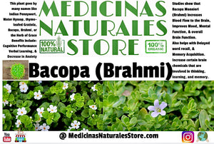 Bacopa (Brahmi) Vegan Capsules