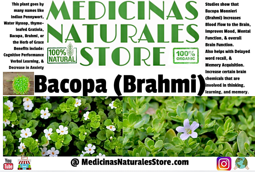 Bacopa (Brahmi) Vegan Capsules