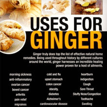 Load image into Gallery viewer, 100% Natural NON-GMO Ginger Capsules