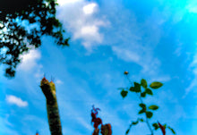 Load image into Gallery viewer, Nunn Care Crema Limpiadora