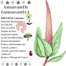 Load image into Gallery viewer, Roasted Amaranth (Amaranto)