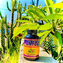 Load image into Gallery viewer, R-ON PLUS Promotes Healthy Kidneys (90 Capsules)