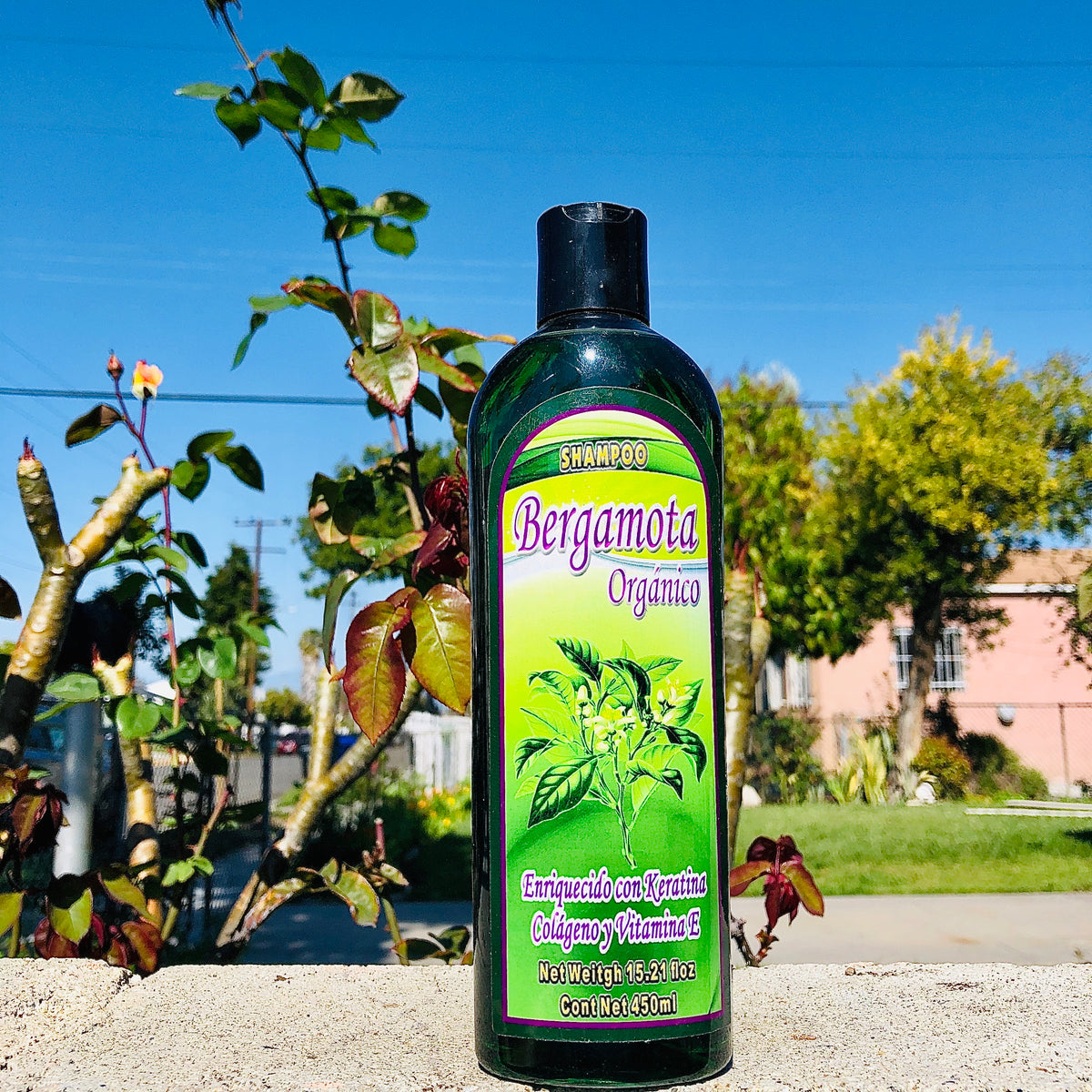 Bergamota Organico Shampoo Medicinas Naturales Store