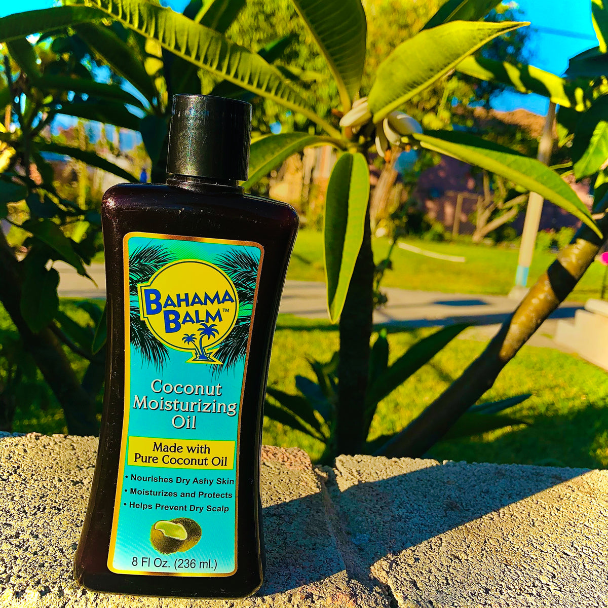 Bahama Balm Coconut Moisturizing Oil Medicinas Naturales Store