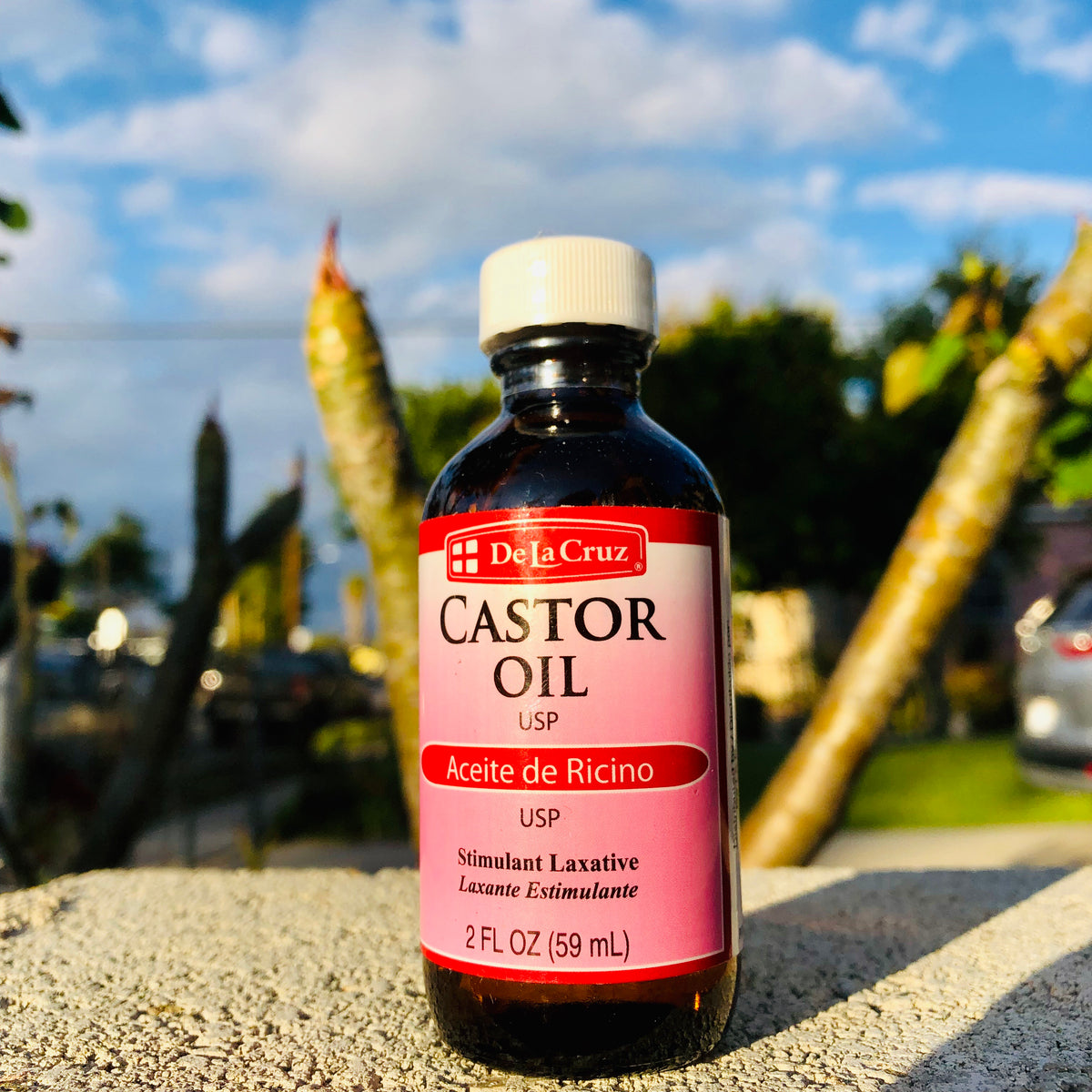 PARA QUE SIRVE EL CASTOR OIL visual data 7