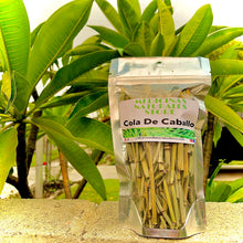 Load image into Gallery viewer, Horsetail (Cola de Caballo) ☕️