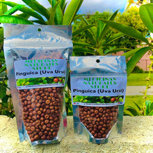 Load image into Gallery viewer, 100% Natural Pinguica (Uva Ursi) Berries