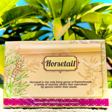 Load image into Gallery viewer, Therbal Horsetail Tea, 25 tea bags, 0.88 oz