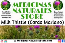 Load image into Gallery viewer, Milk Thistle TEA ☕️ (Cardo Mariano TE)