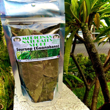 Load image into Gallery viewer, Guanabana (Soursop) Leaves 🍃☕️
