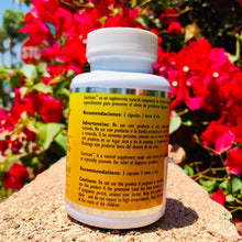 Load image into Gallery viewer, Gastrizan Sistema Digestivo 100 Capsulas 450 mg