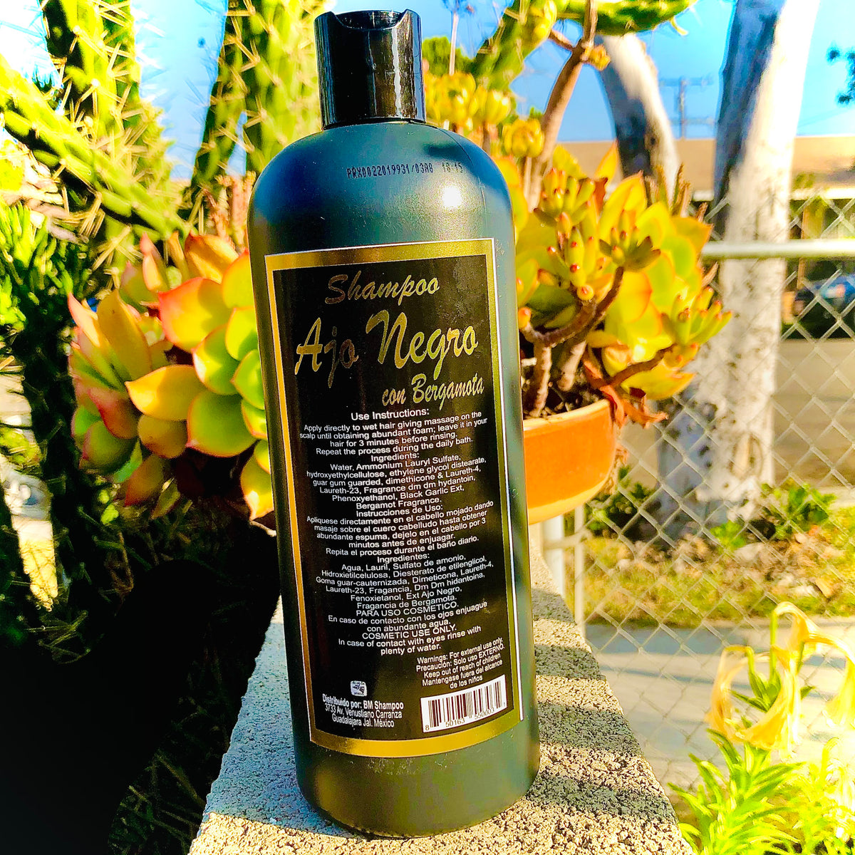 Shampoo Ajo 🧄 Negro com Bergamota 16 oz – Medicinas Naturales Store LLC