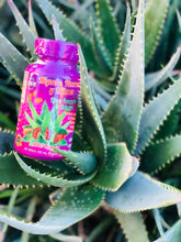 Load image into Gallery viewer, Hígado, Páncreas y Riñones 60 Tabletas