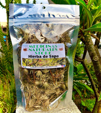 Load image into Gallery viewer, Hierba del Sapo Tea ☕️