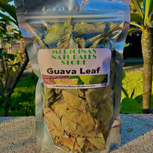 Load image into Gallery viewer, Guava Leaf 🍃 for ☕️