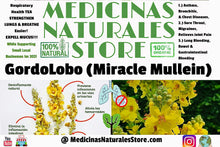 Load image into Gallery viewer, GordoLobo (Mexican Mullein)