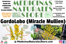 Load image into Gallery viewer, GordoLobo (Mexican Mullein)