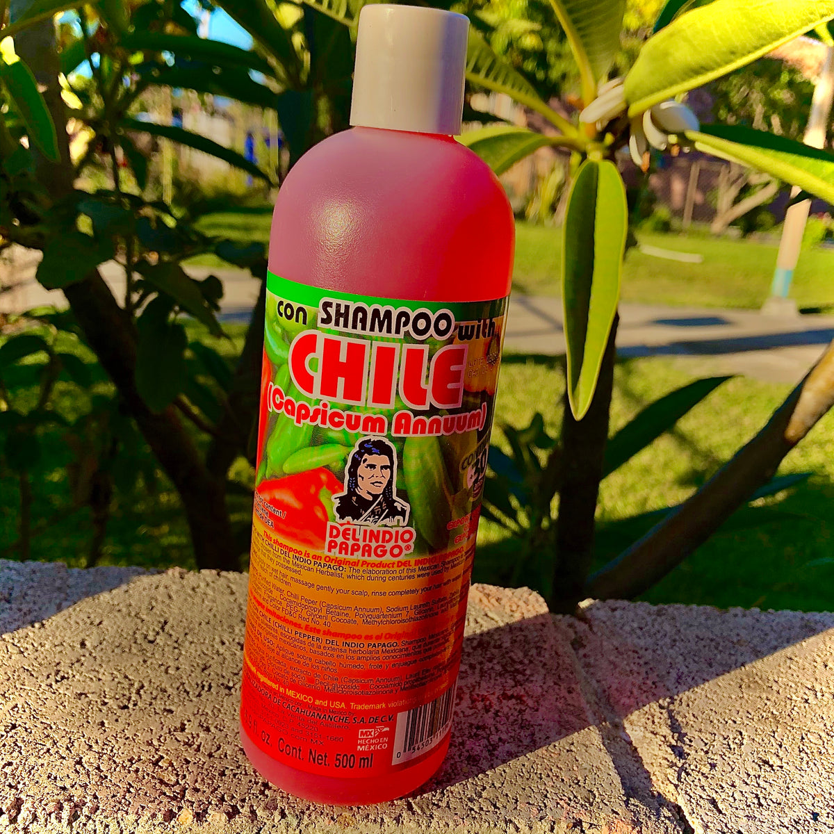 Shampoo con CHILE (Capsicum Annuum) 16.9 fl oz Medicinas Naturales Store