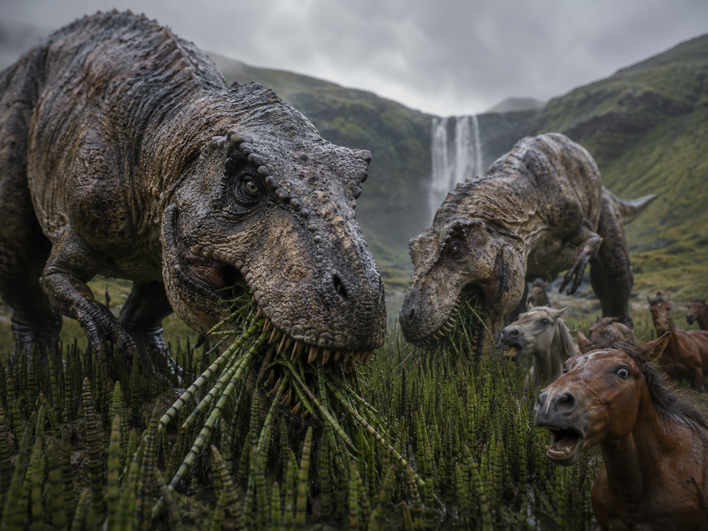 🦖Dinosaurs🦕 Ate This! 🐎Horsetail 🪴(Cola de Caballo)☕️ 50 Health Benefits!!