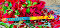 Fast Luck (Suerte Rápida) Spiritual Incense (25 Packs) & Ritual Travel Pack (8 Sticks)