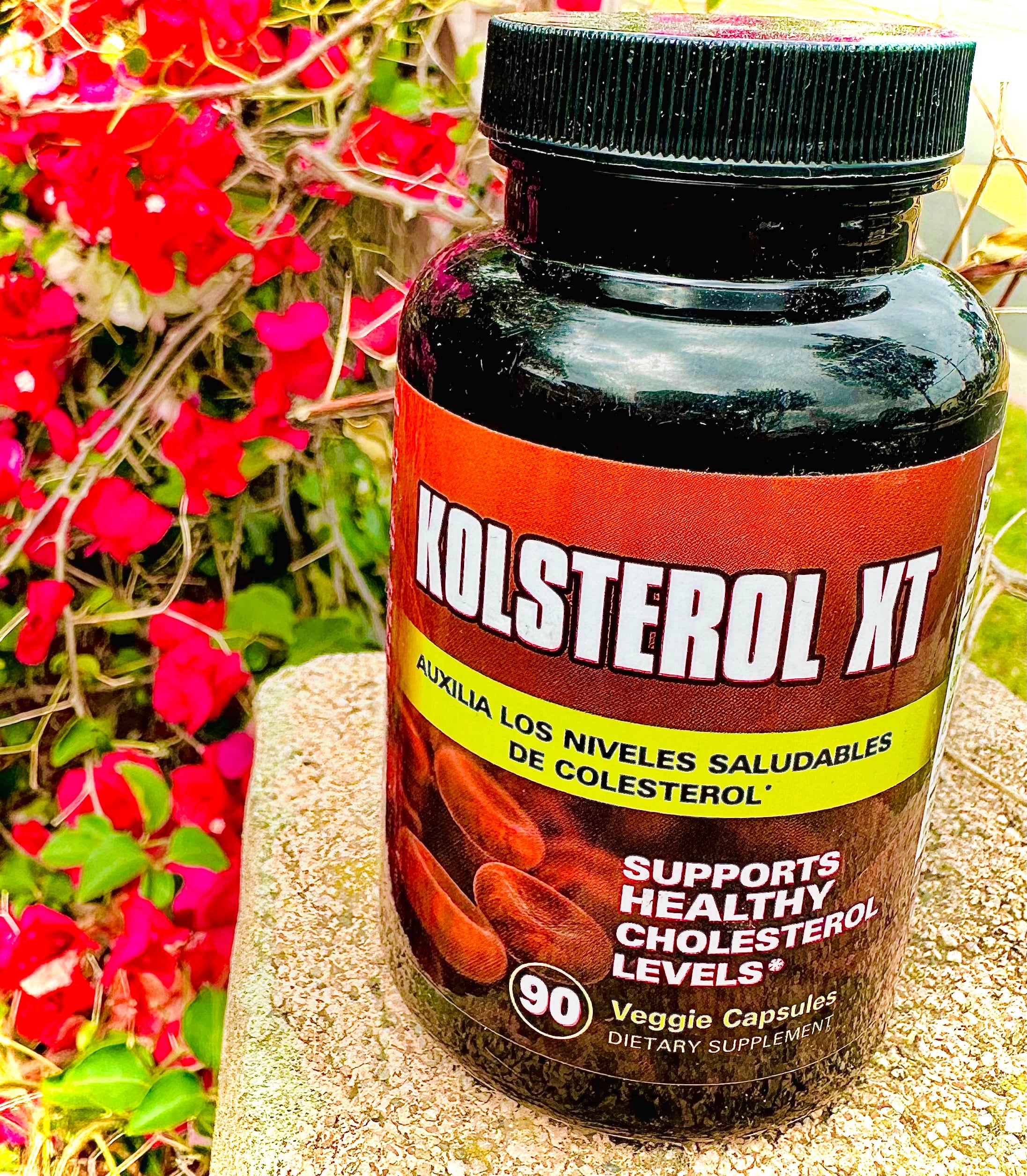Kolsterol XT 90 Veggie Capsules