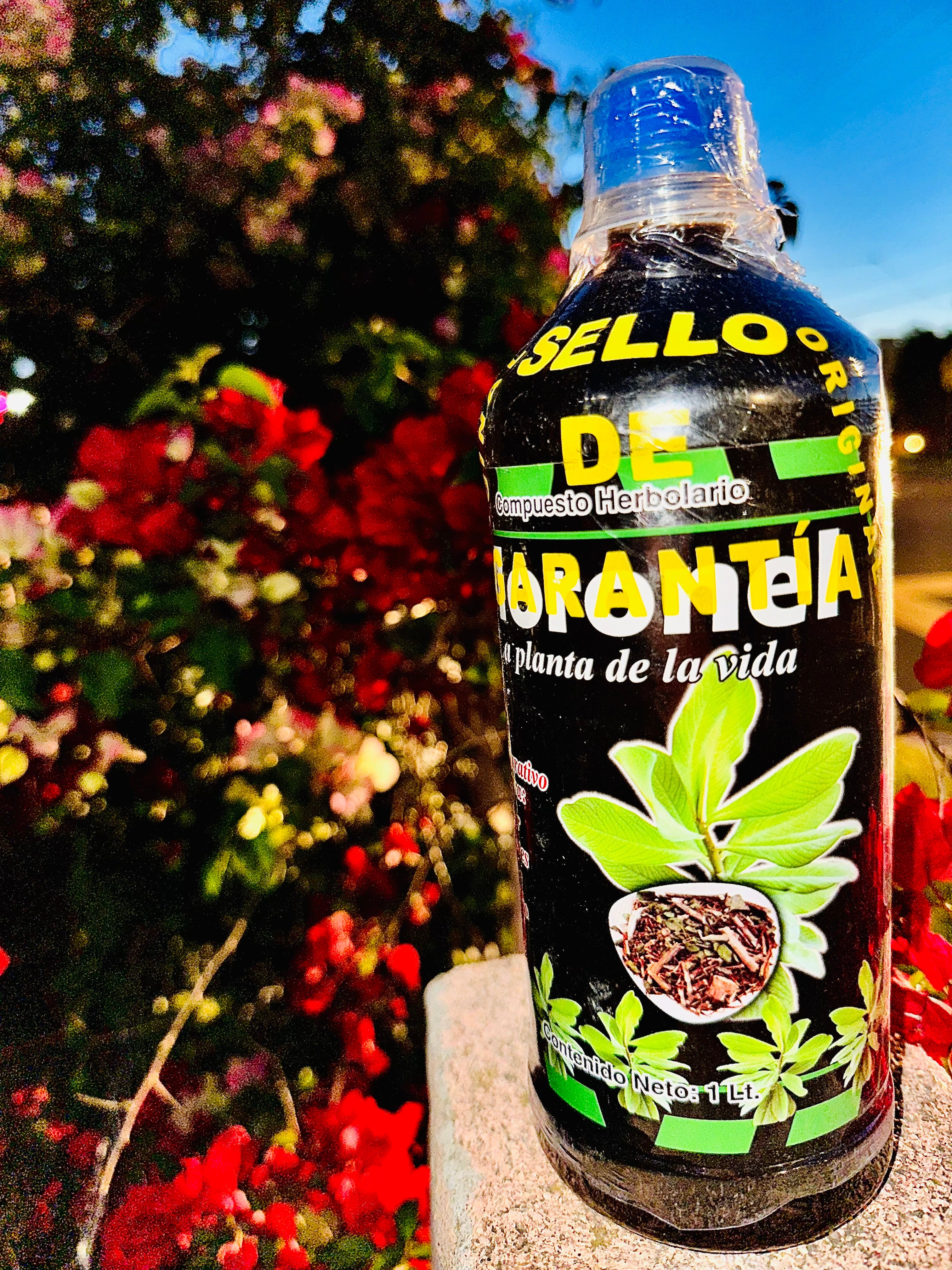 Moronel La Planta de La Vida 1L Tonic