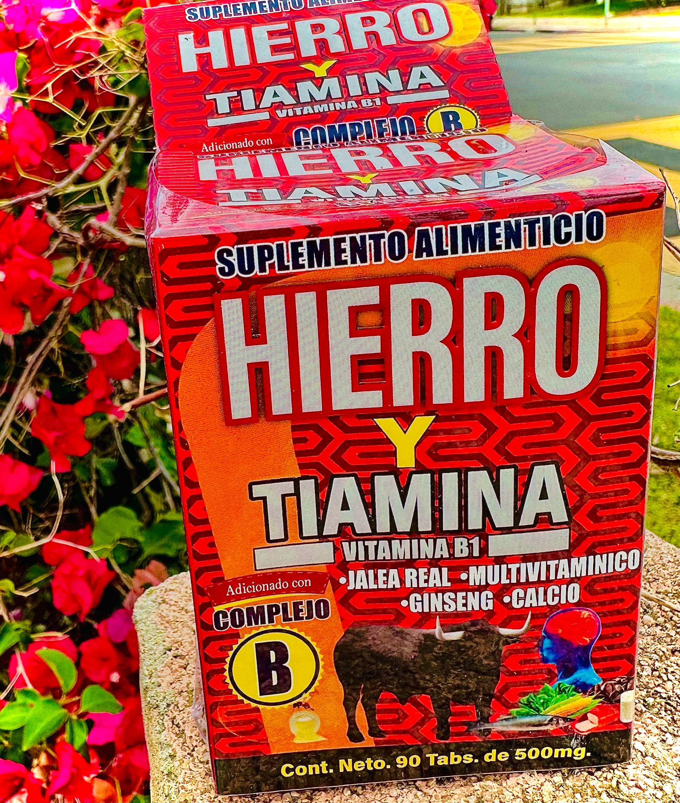 HIERRO Y TIAMINA VITAMINA B1 IRON AND TIAMINE 90 Capsules de 500 mg