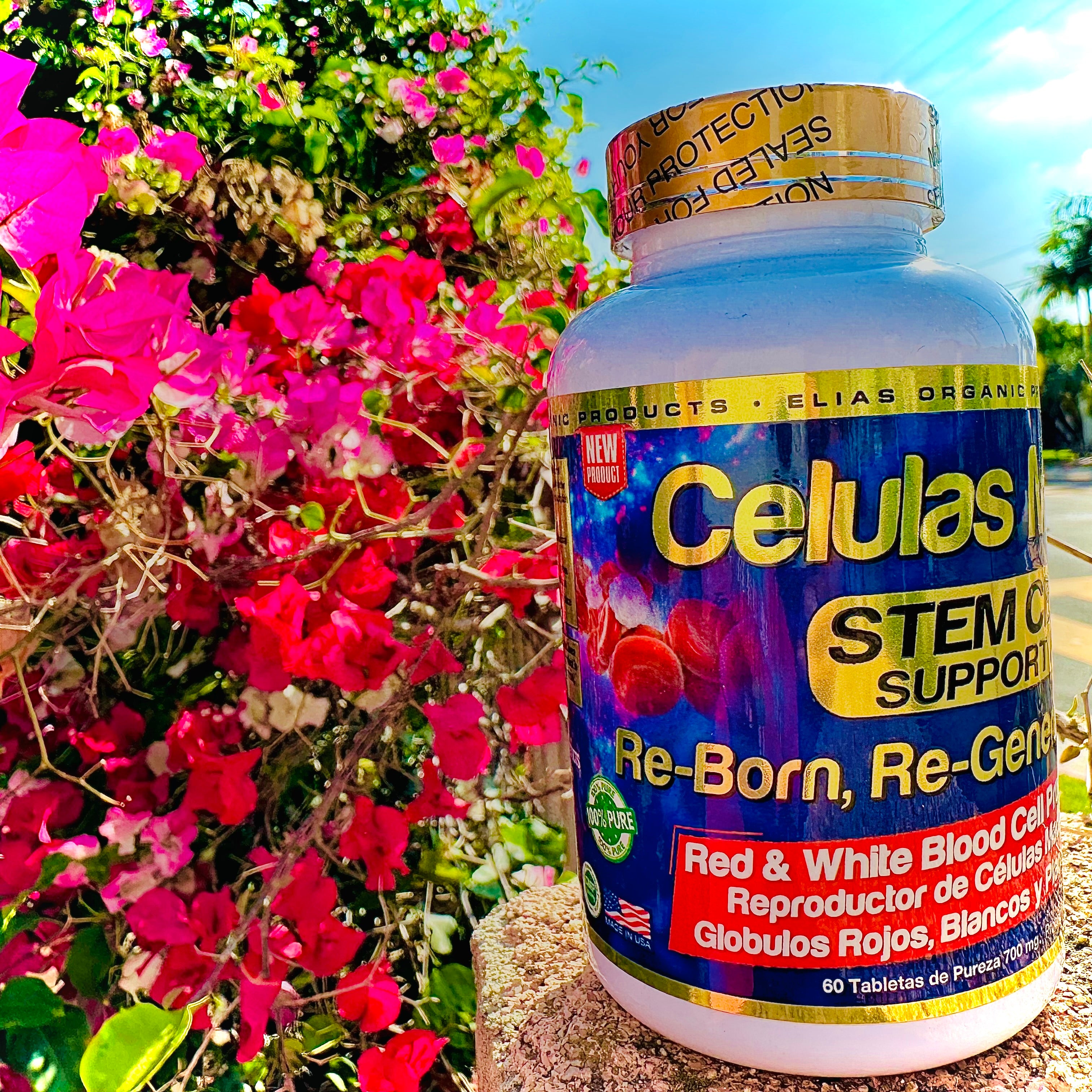 Células Madres STEM CELLS Support NMN 60 Tabletas de 700 mg