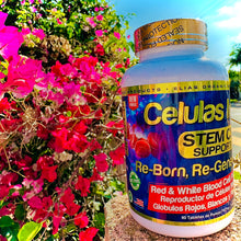 Load image into Gallery viewer, Células Madres STEM CELLS Support NMN 60 Tabletas de 700 mg
