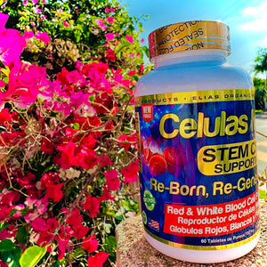 Células Madres STEM CELLS Support NMN 60 Tabletas de 700 mg
