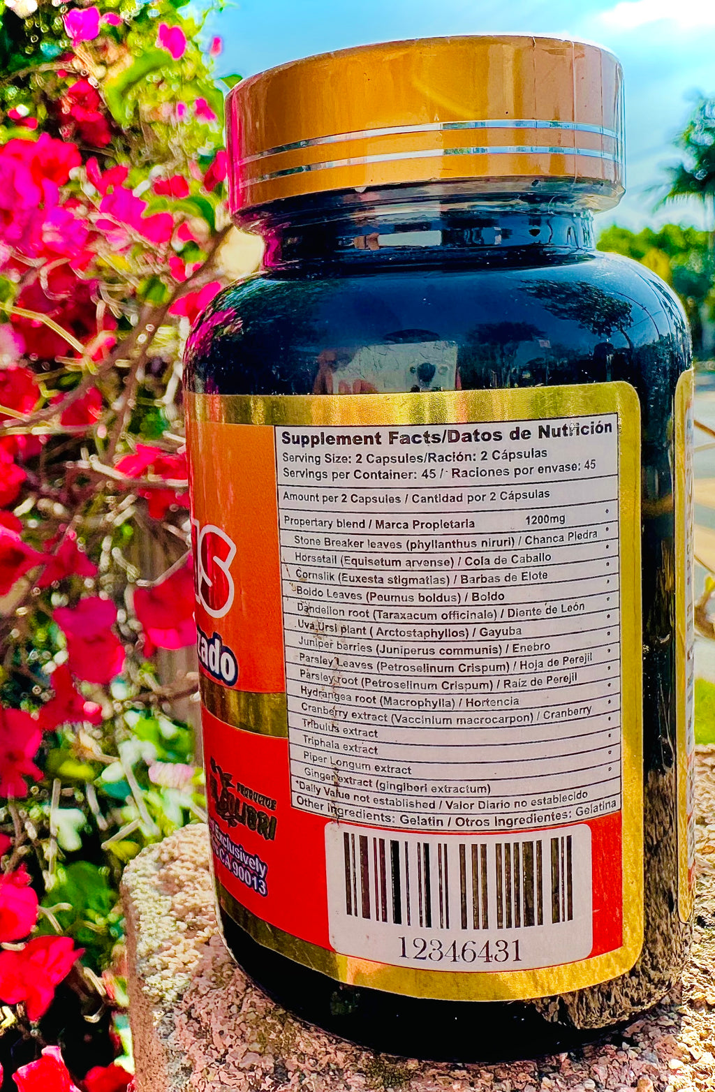 Riñónplus 90 Capsules 600 mg