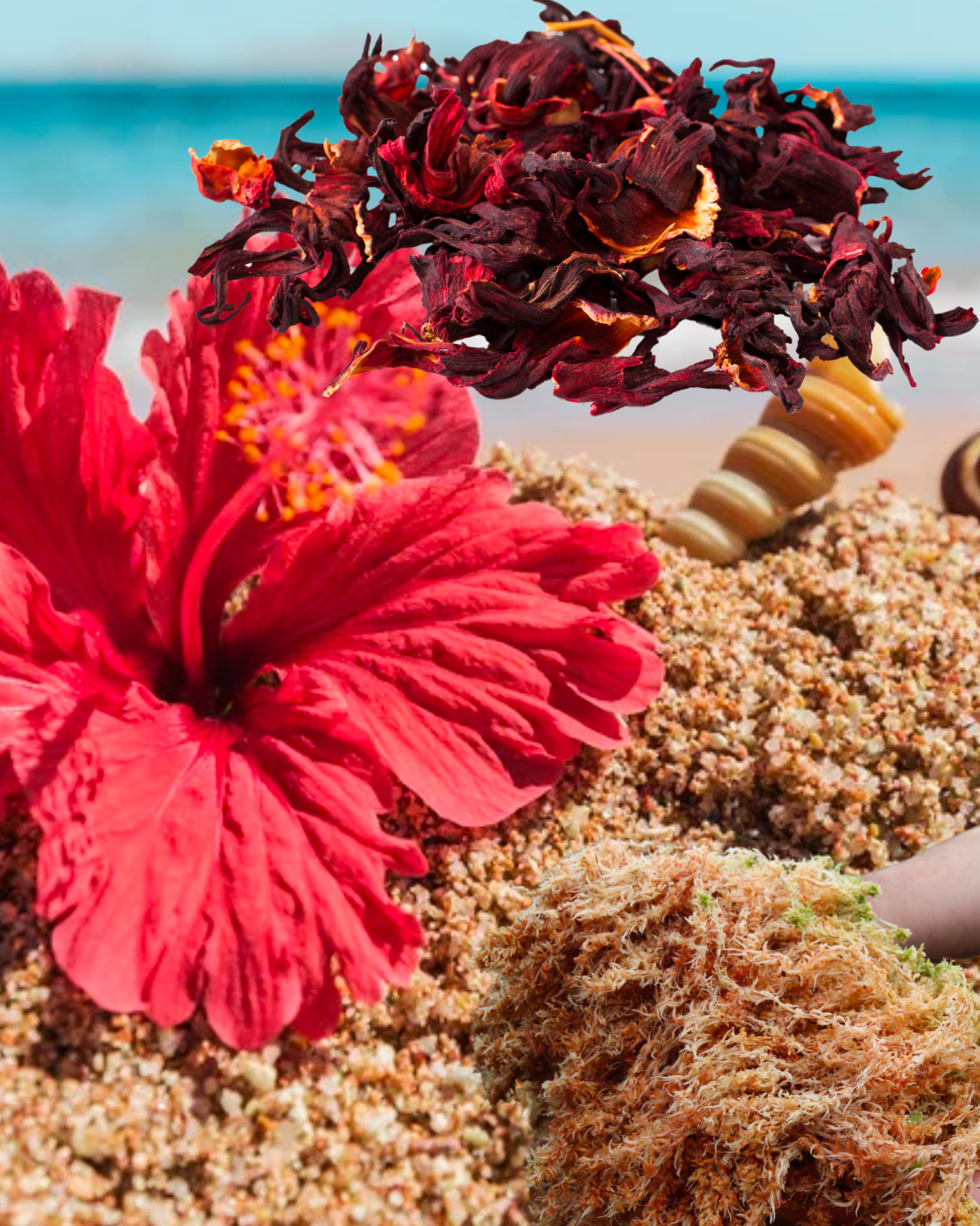 Hibiscus🌺(Jamaica) Sea Moss Gel