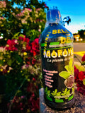 Moronel La Planta de La Vida 1L Tonic
