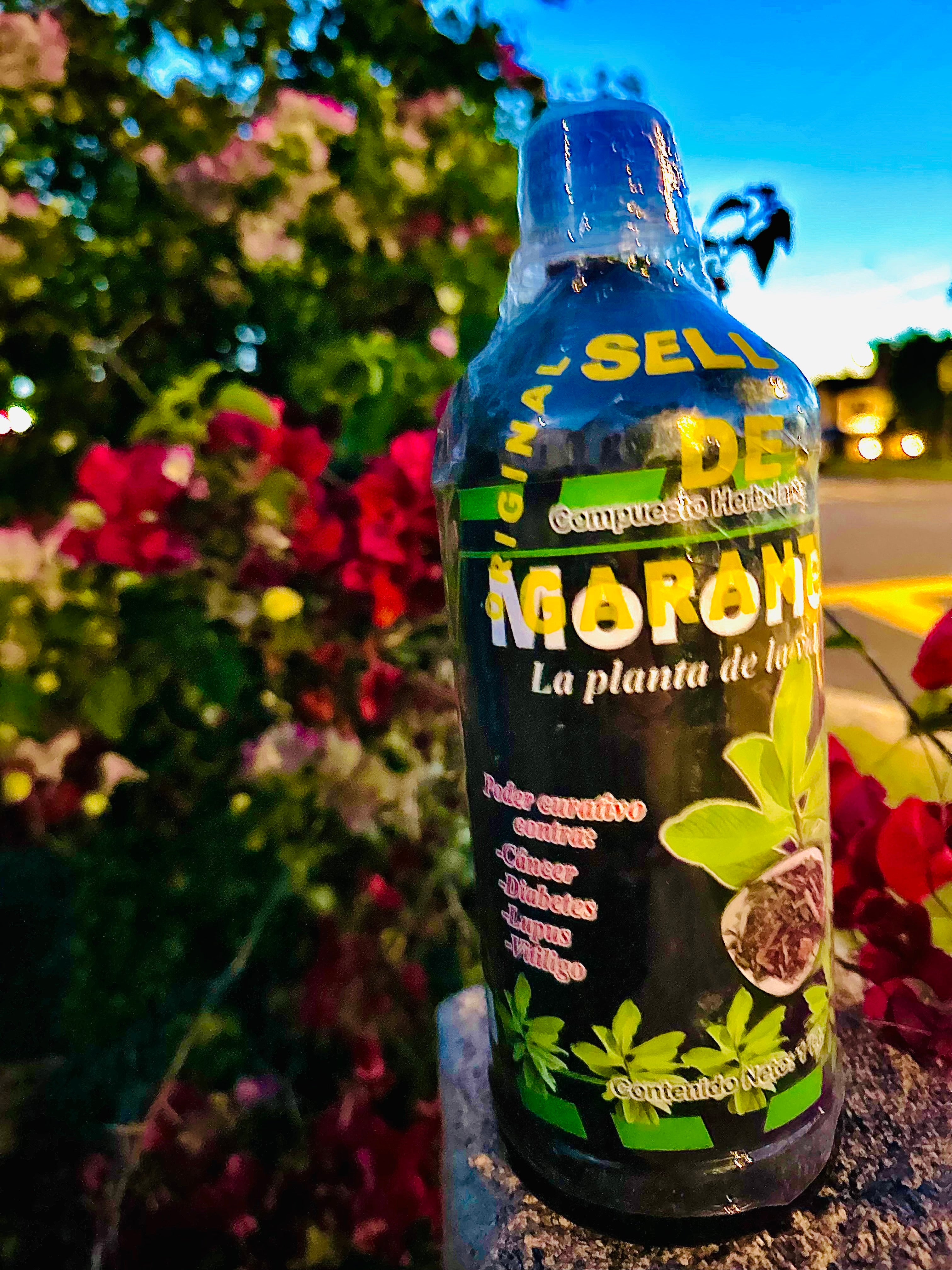 Moronel La Planta de La Vida 1L Tonic