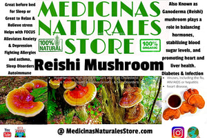 Reishi (Ganoderma) Vegetarian Capsules