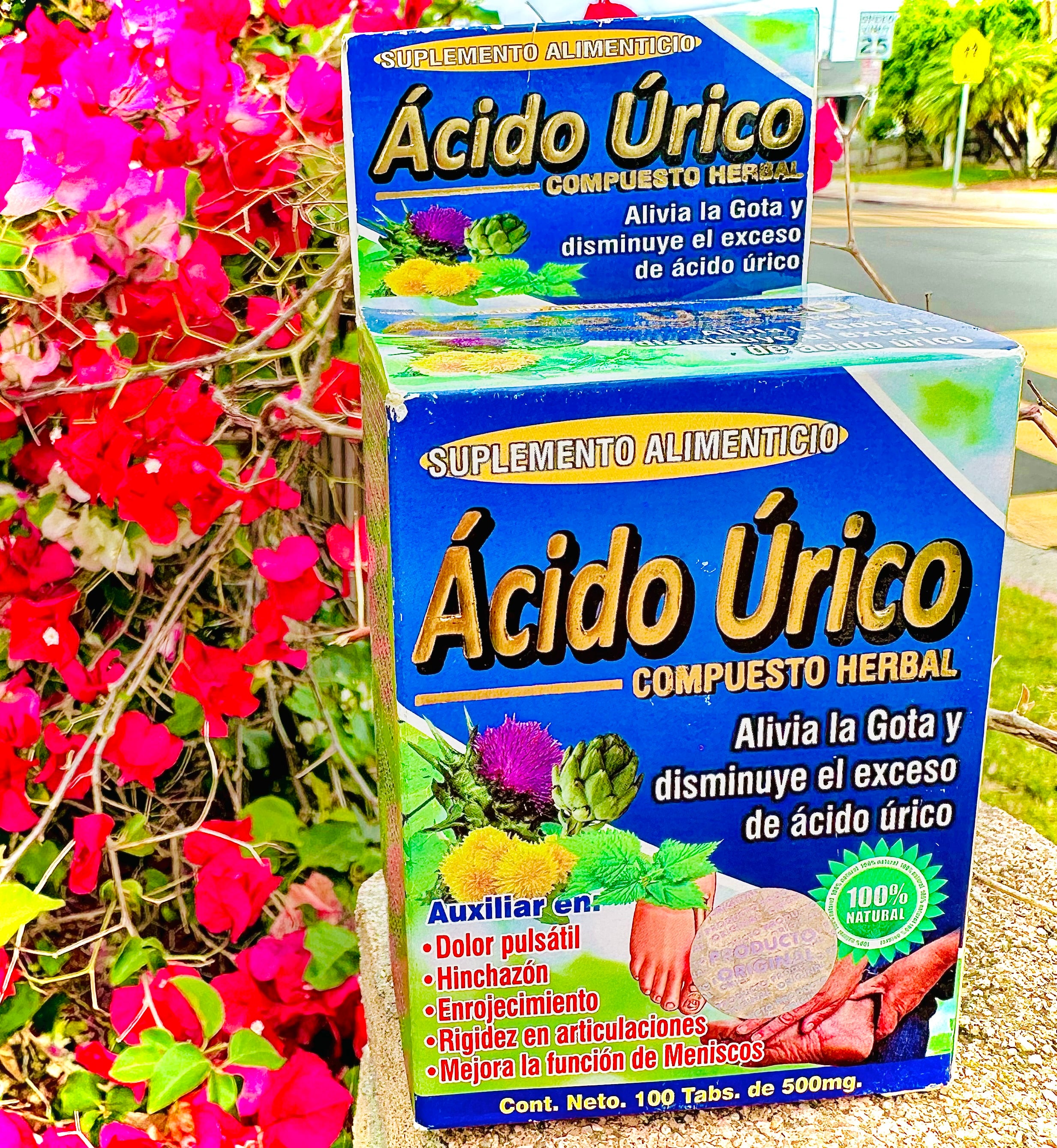 Ácido Úrico 100 Tabletas de 500 mg