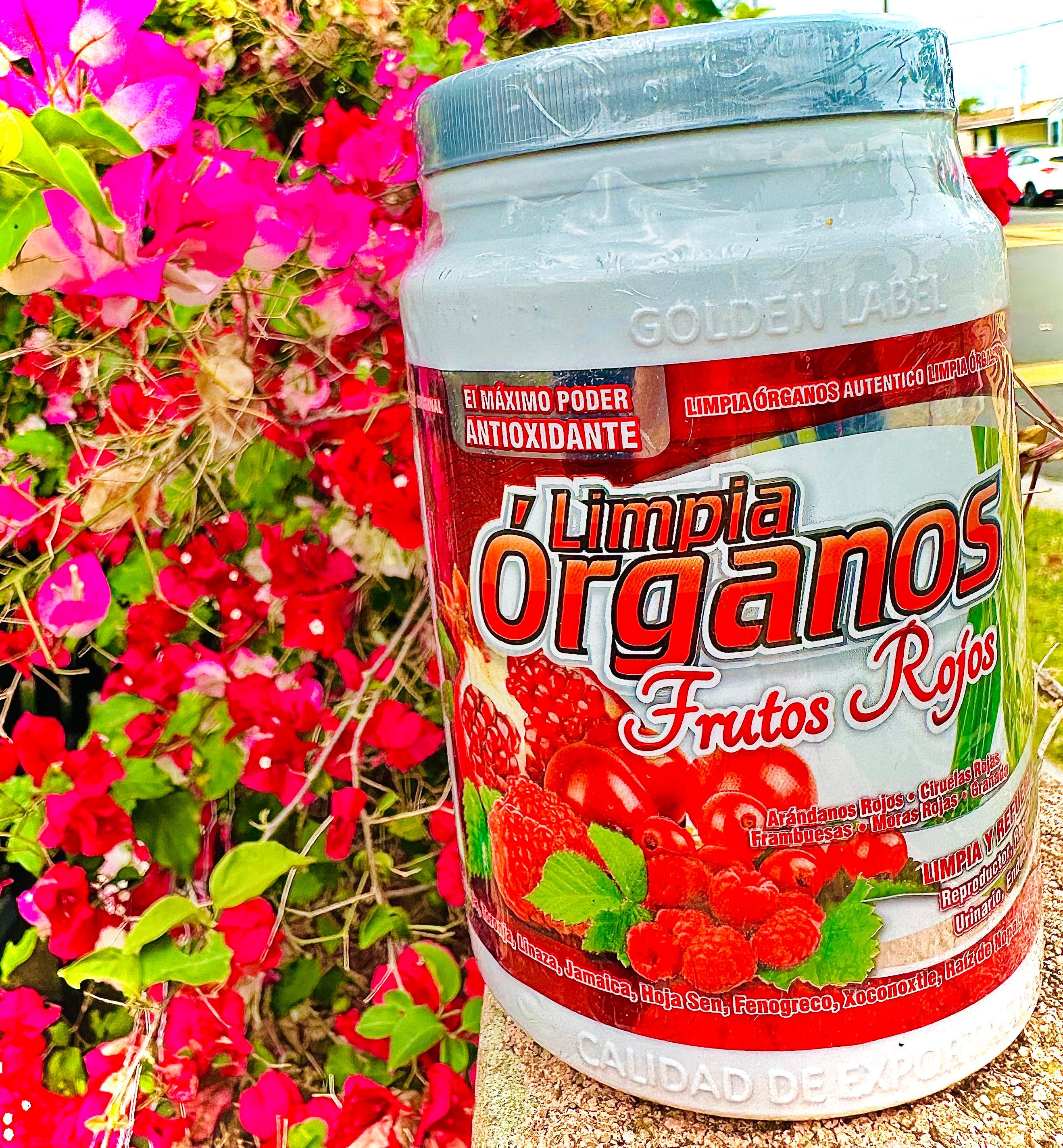 Limpia Órganos Frutos Rojos