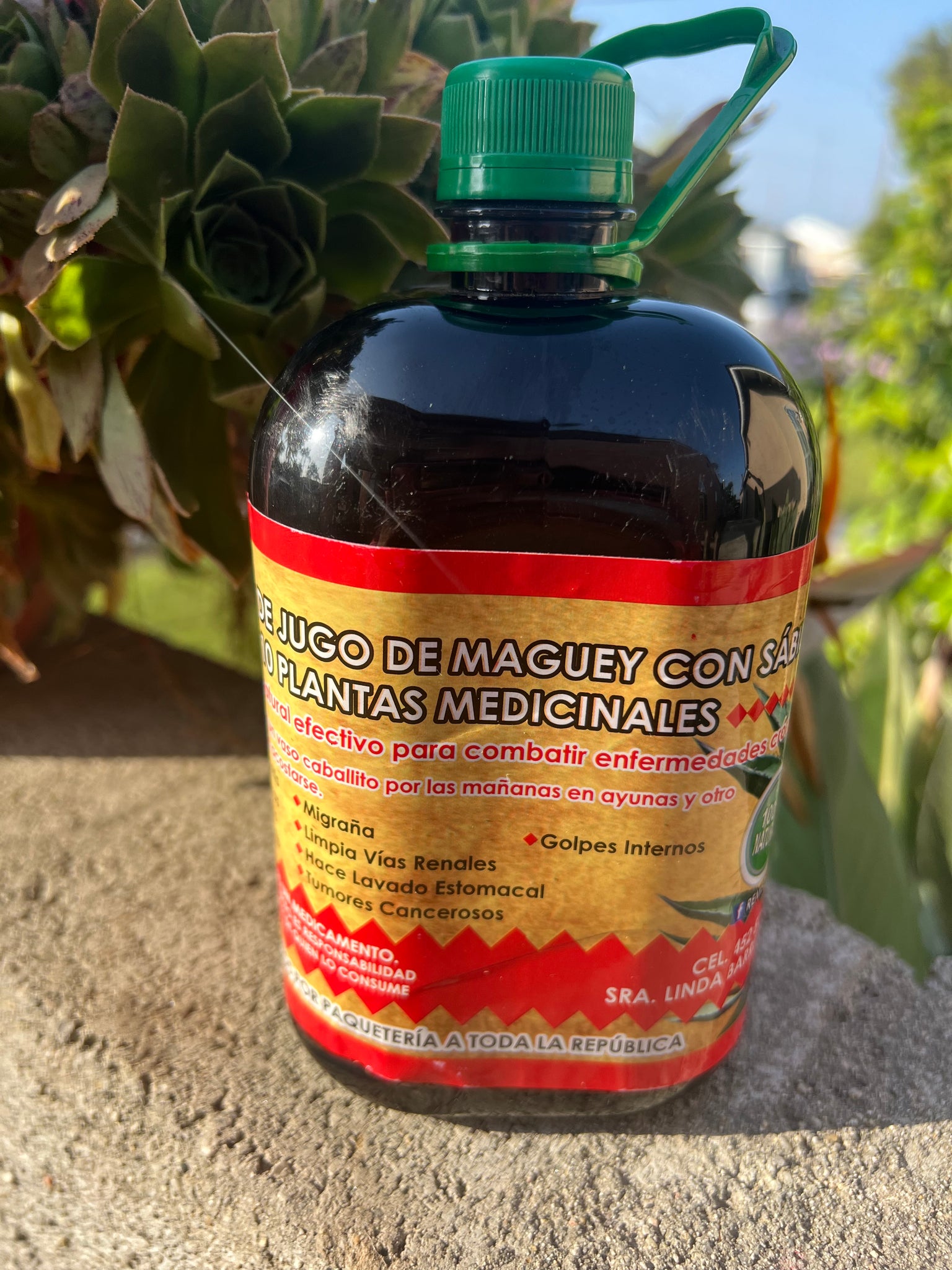 Jugo de Maguey Orgánico 100% Natural con Savila y 10 Plantas Medicinal