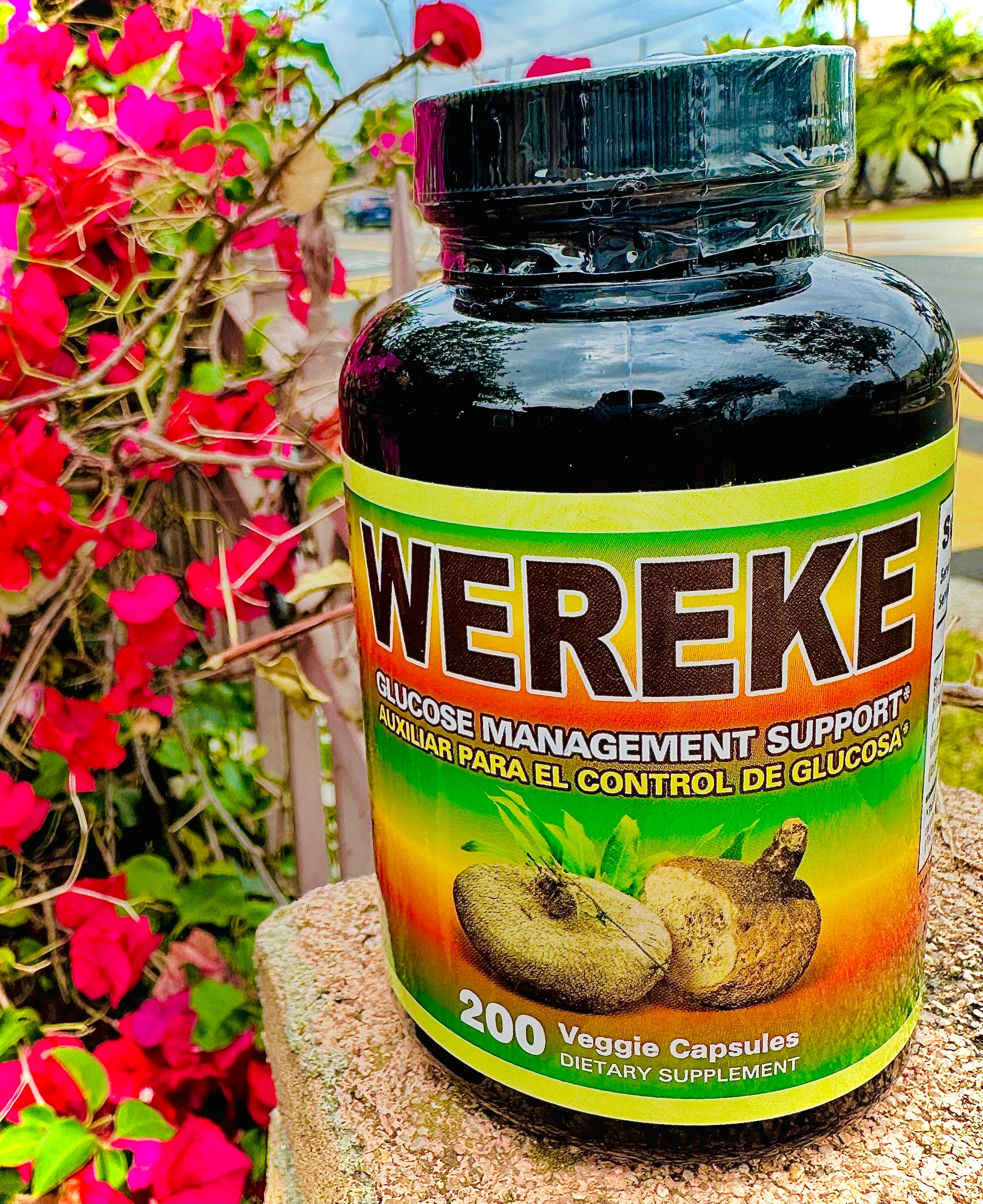 WEREKE Glucose Management Support 200 Veggie Capsules