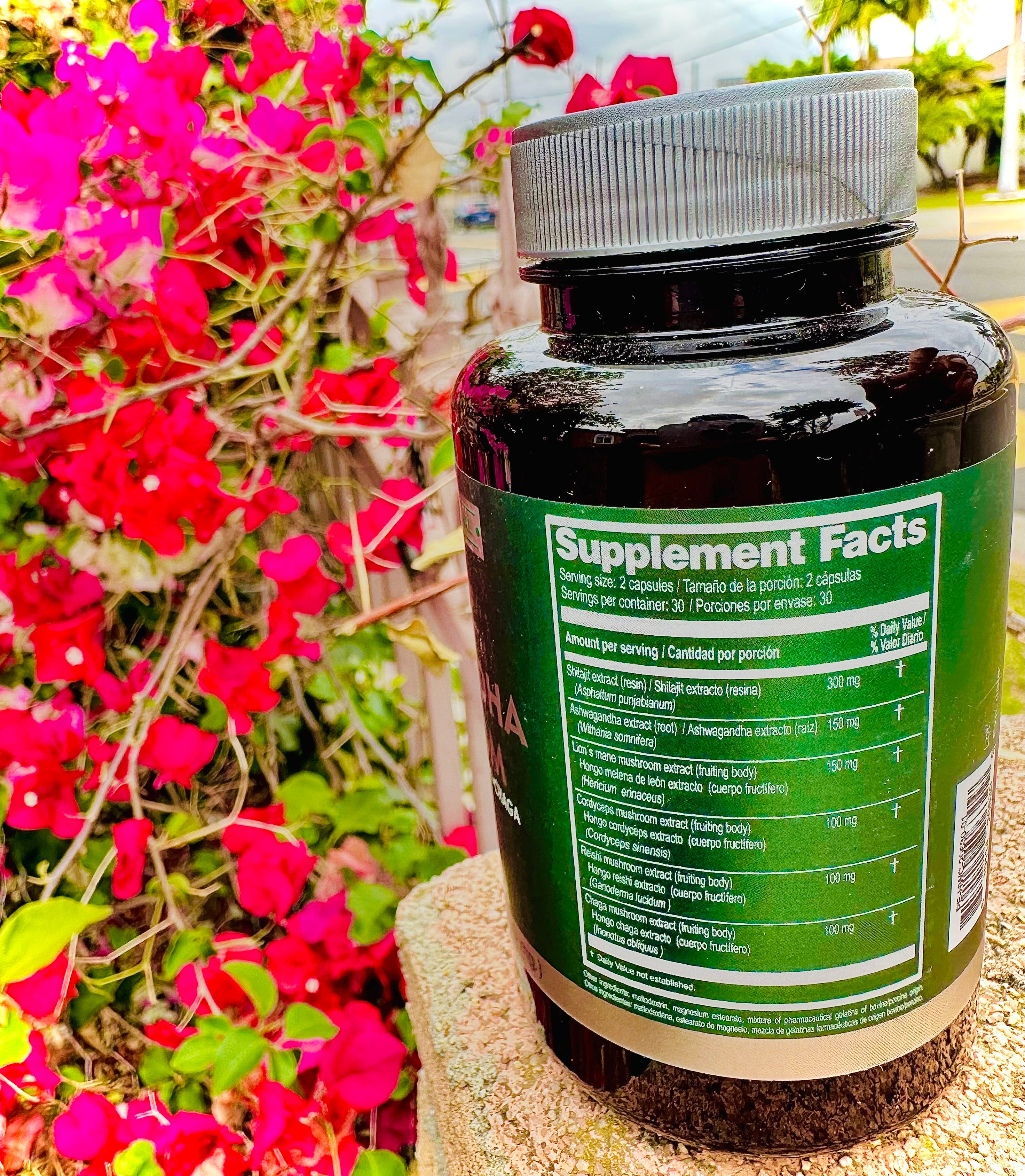 Shilajit Ashwagandha Mushroom 60 Capsules 500 mg