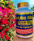 Células Madres STEM CELLS Support NMN 60 Tabletas de 700 mg