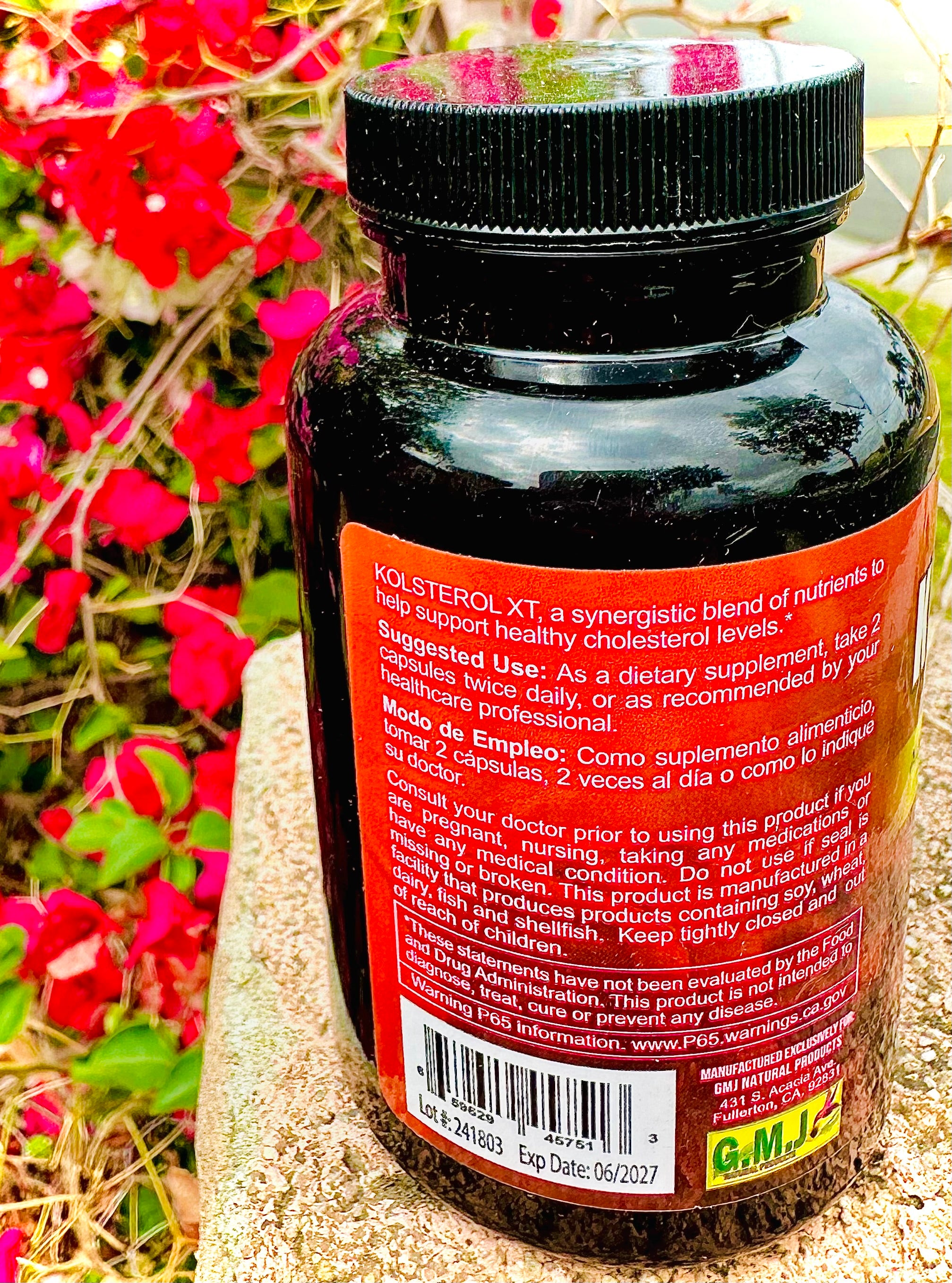Kolsterol XT 90 Veggie Capsules