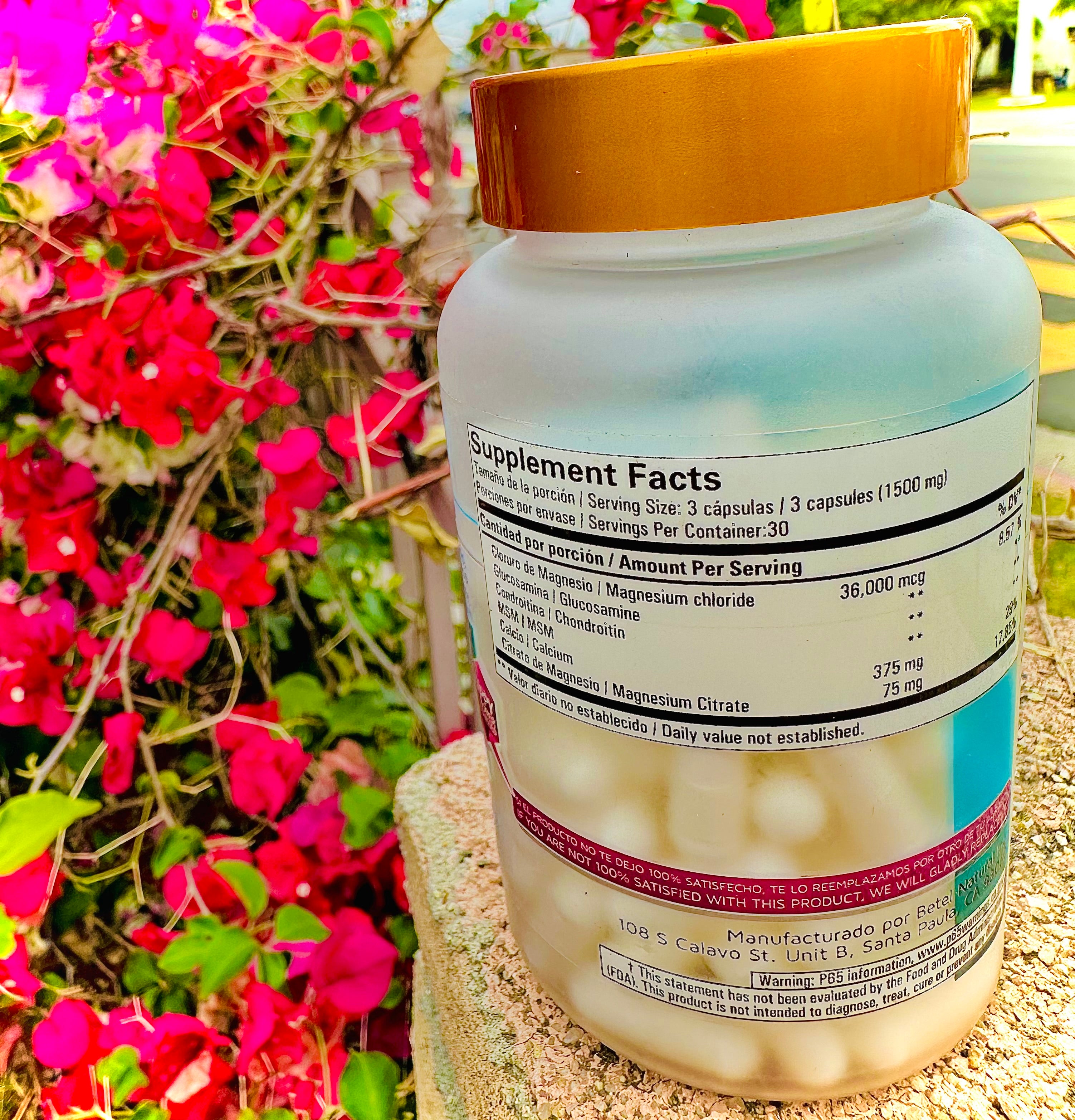 Betel Cloruro de Magnesio 36,000 mcg Reforzado 90 Cápsulas (1500 mg por Porción)