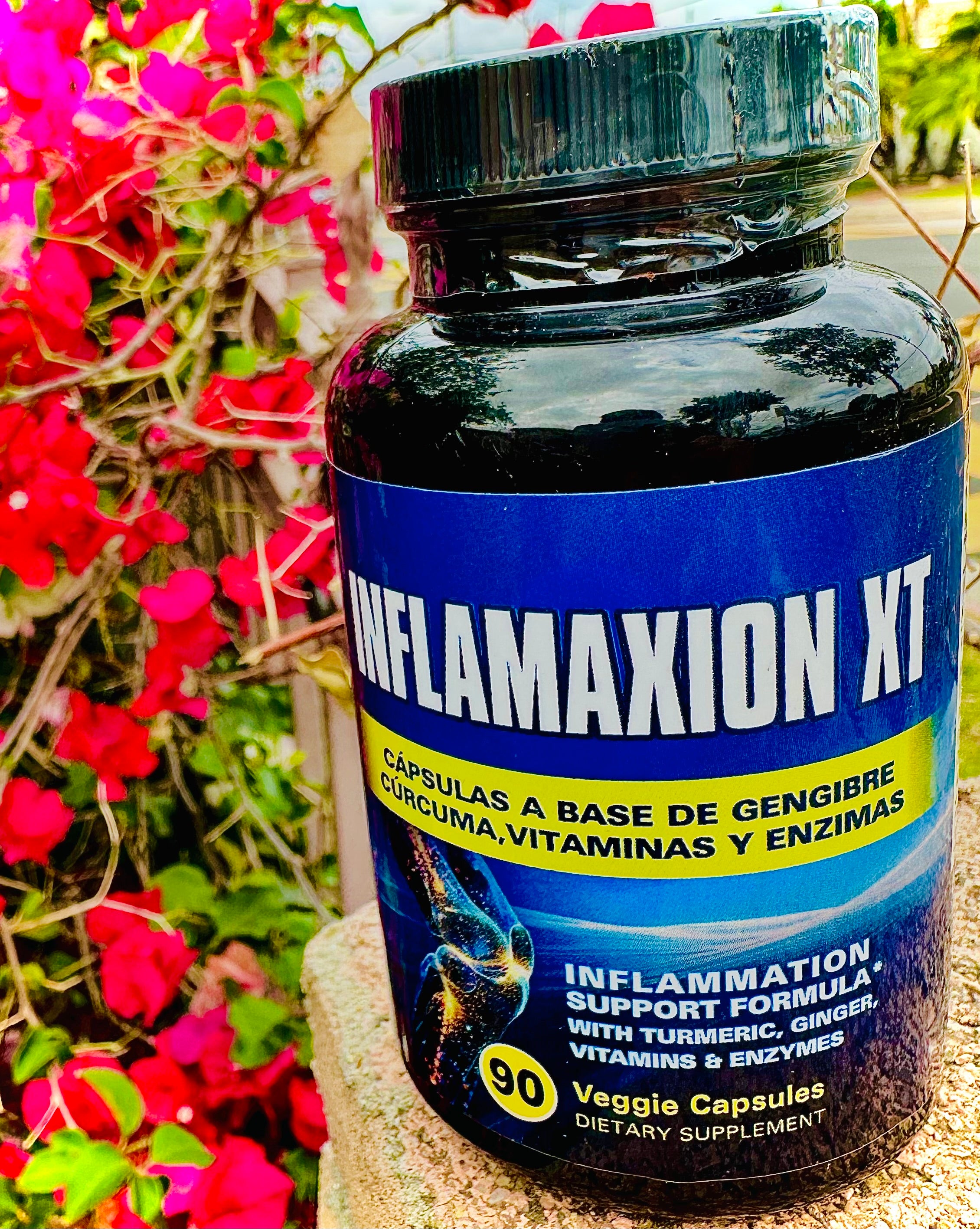 Inflamaxion XT 90 Veggie Capsules
