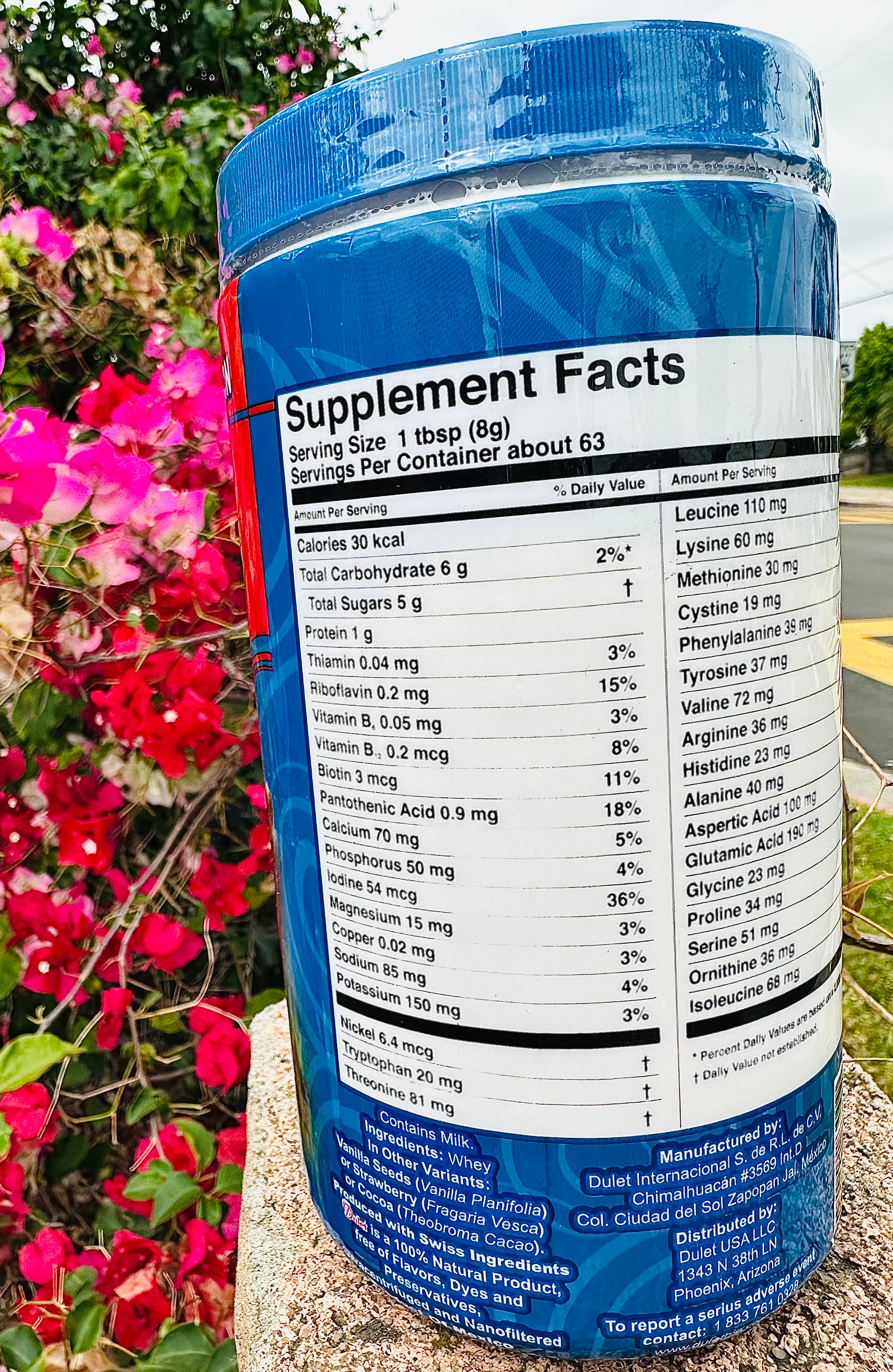 Dulet Whey Powder 17.6 oz (1.1lb) (500g)