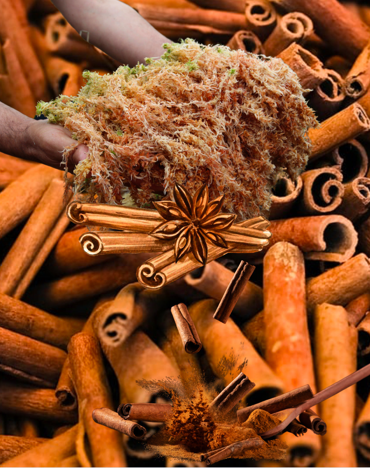 Cinnamon (Canela) Sea Moss Gel