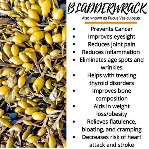 102 Mineral Sea Moss Gel With Bladderwrack & Burdock Root