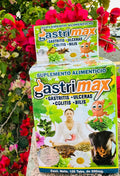 GastriMax 100 Tabs.