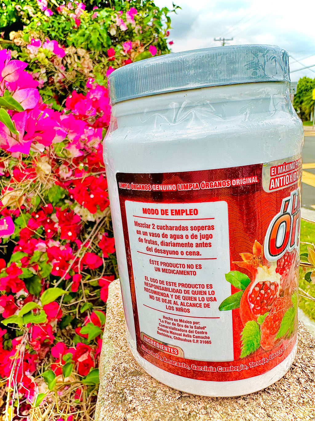 Limpia Órganos Frutos Rojos